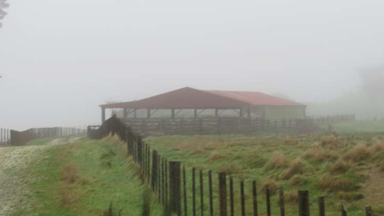 291 Mahoe Road Waitomo_9