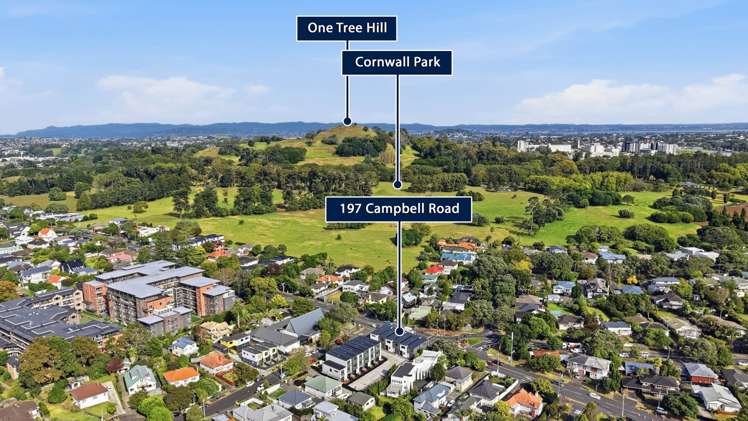 197 Campbell Road Greenlane_16