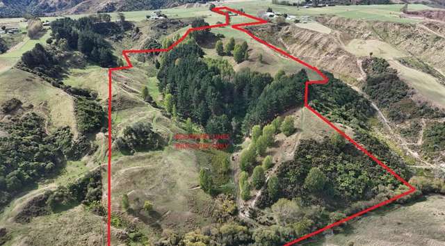Idyllic Lifestyle Opportunity – Income and Space