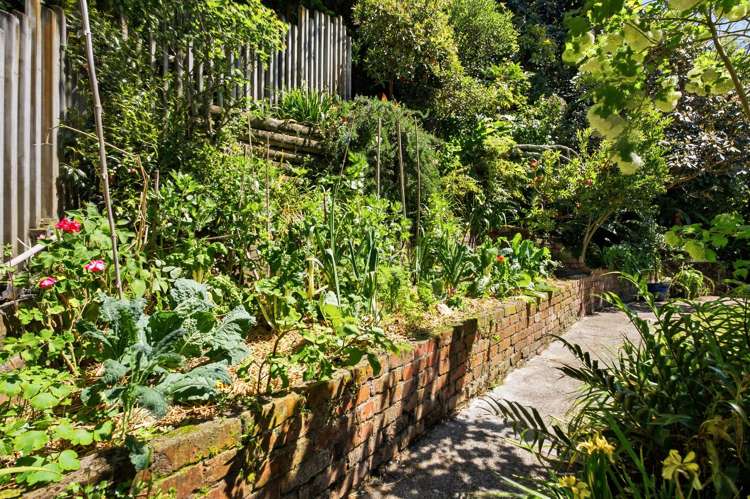 20 Weld Street Wadestown_22