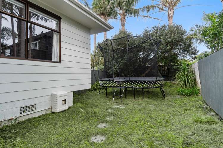 107 Landscape Road Mount Eden_19