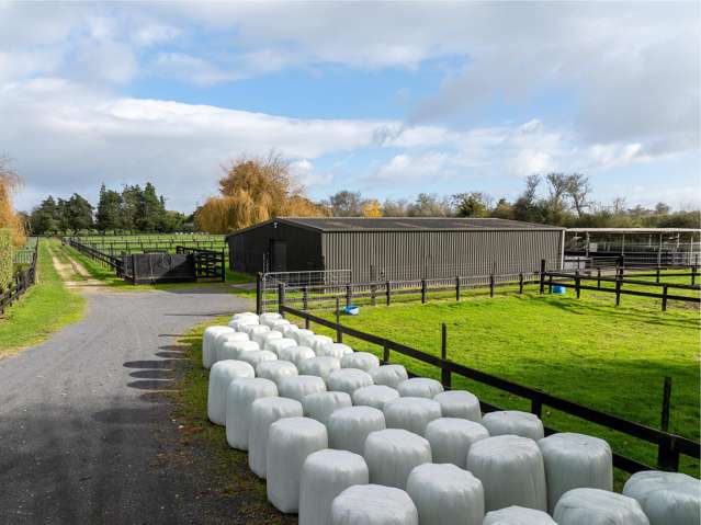 204 Racecourse Road Cambridge_1