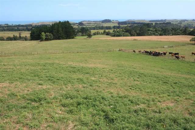 Mokau Road Urenui_2