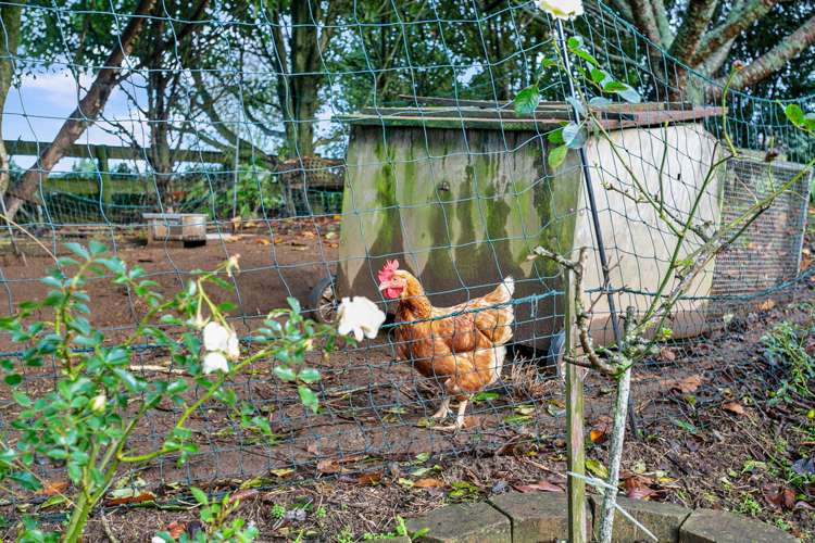 935 Arapuni Road Parawera_10