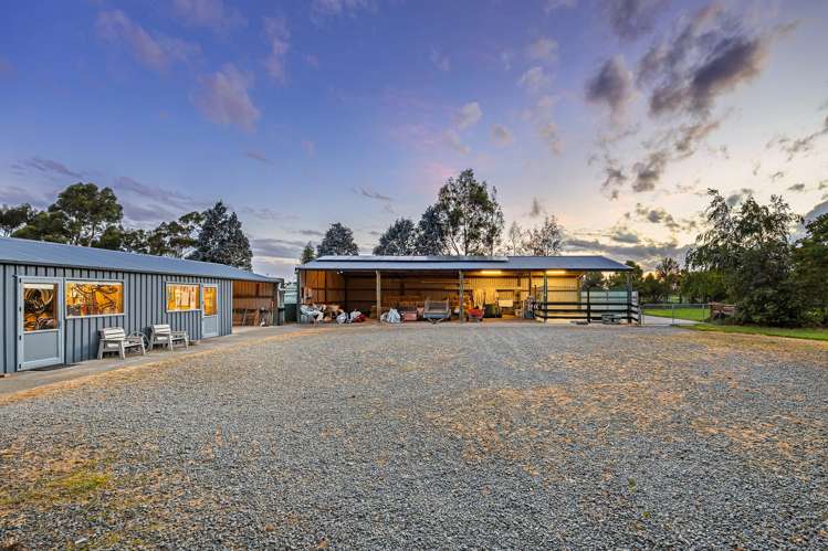 192 Terrace Road Leithfield_3