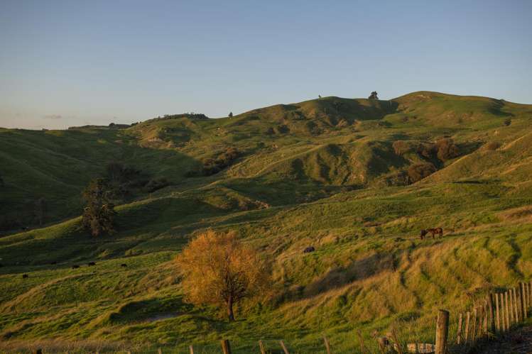 153 Wheatstone Road Wainui_14