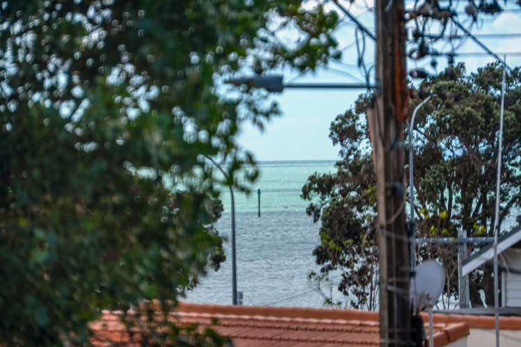 29 North Avenue Devonport_13