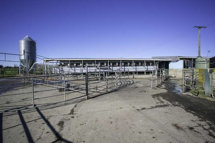 224 Maungakawa Road Ngarua_7