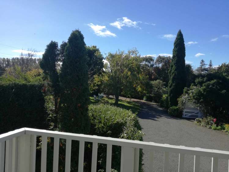 331 Kairanga Bunnythorpe Road Bunnythorpe_9