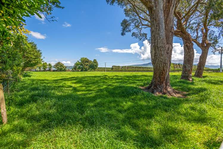 45 Gladstone Street Woodville_20