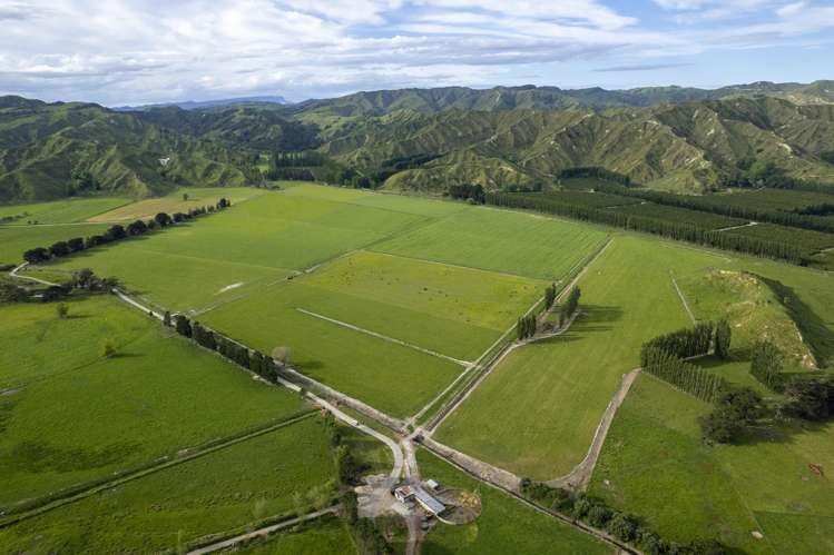 2225 State Highway 2 Whakaki_5