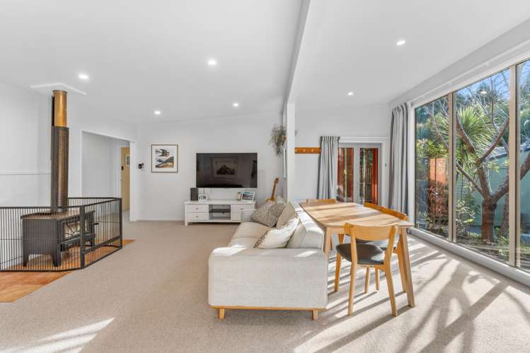 38 Patmos Avenue Woodhaugh_8
