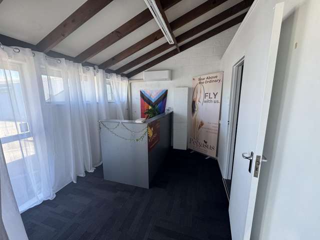 25 Carlyle Street Napier South_2