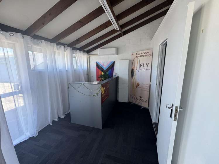 25 Carlyle Street Napier South_2