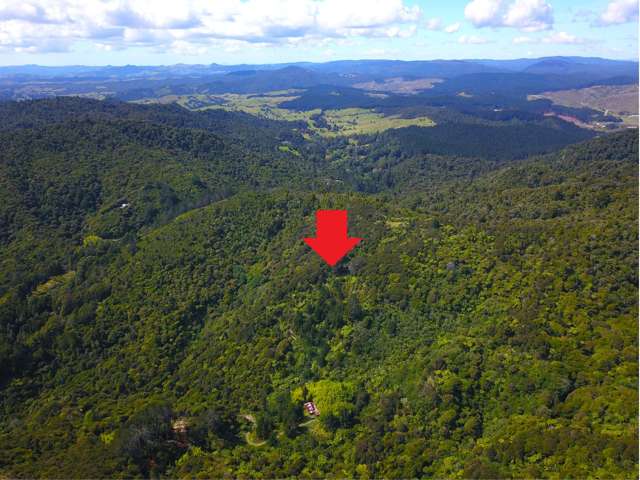Te Karoa Road Peria_1
