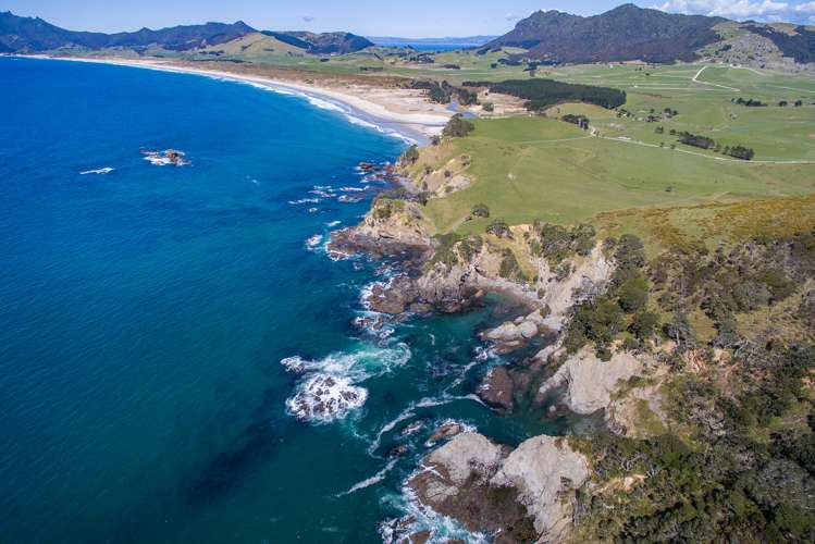 Kauri Mountain Road Whangarei_1