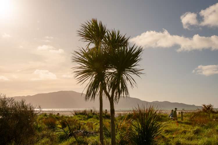 18 Takahe Drive Paraparaumu Beach_43