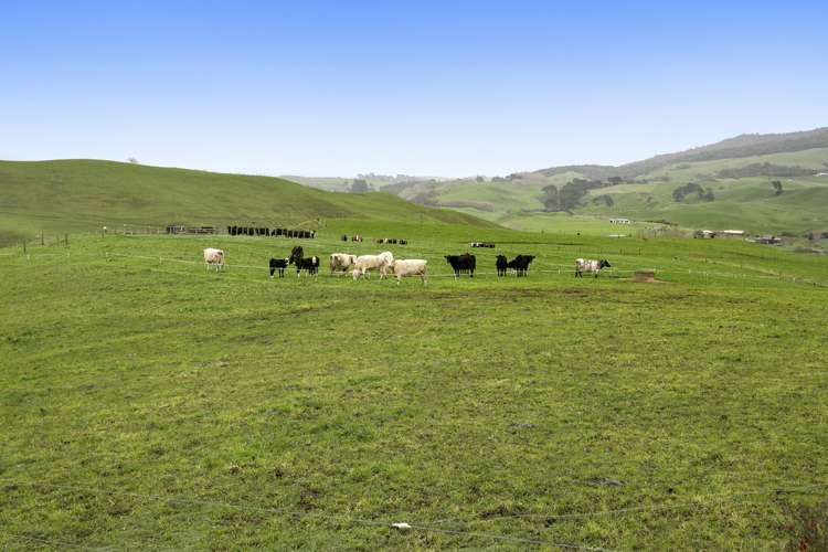 203 Morgan Road Matamata_16