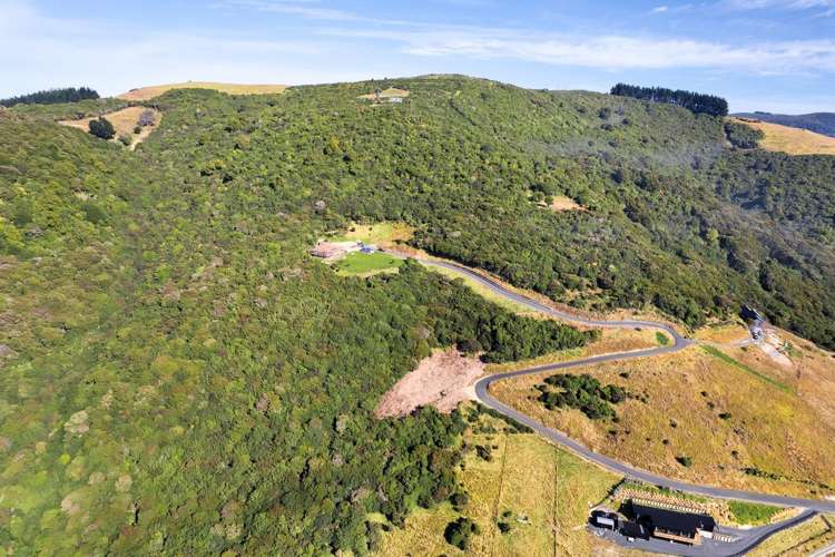 65 Kakapo Street Saint Leonards_2