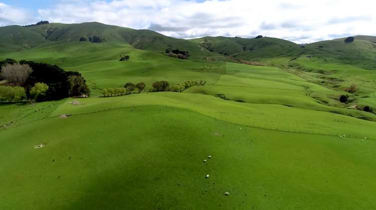 10284 Route 52 Pongaroa_12