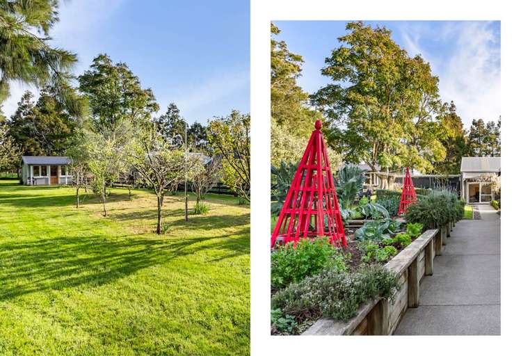 37a William Potter Lane Karaka_42