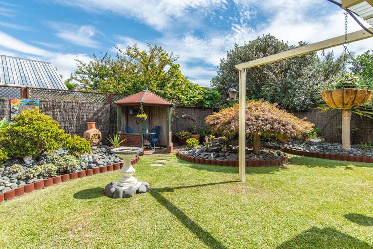 43 Hibiscus Avenue Mount Maunganui_15