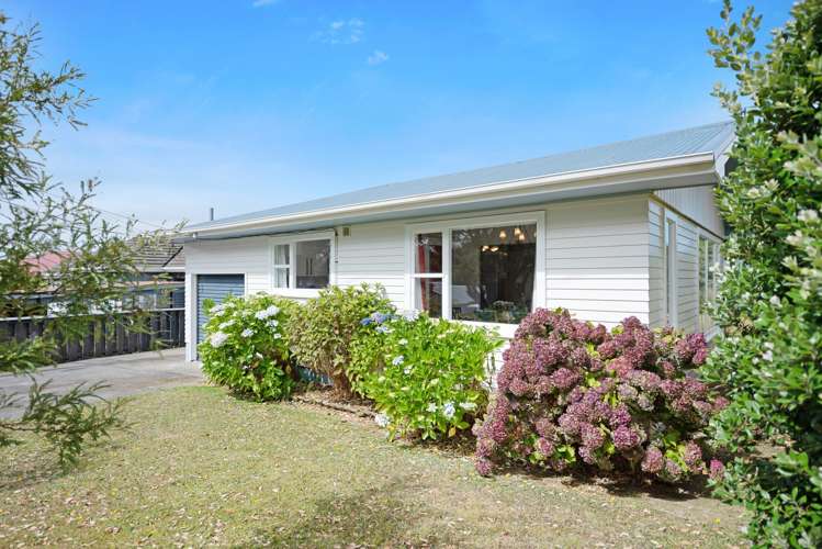 20 Elliott Street Johnsonville_14