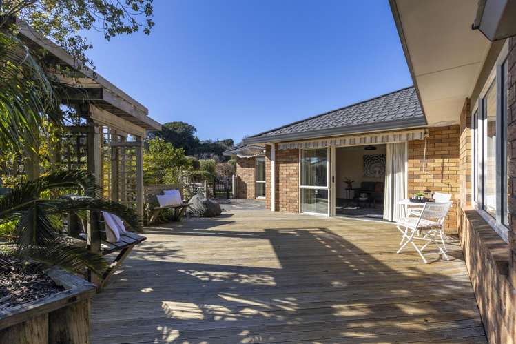 54 Roto Street Hurdon_12