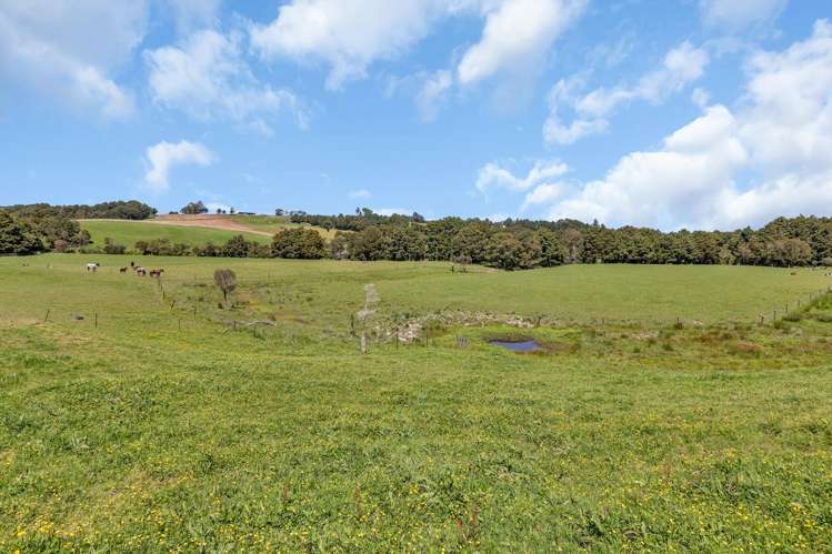 80 Lovell Road Ruatangata West_24