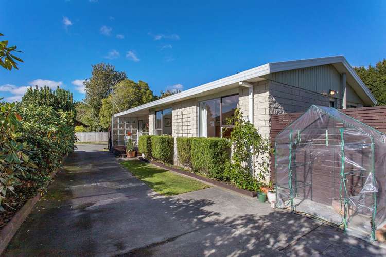 55 Bailey Street Templeton_4