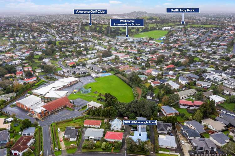 309 Hillsborough Road Hillsborough_18