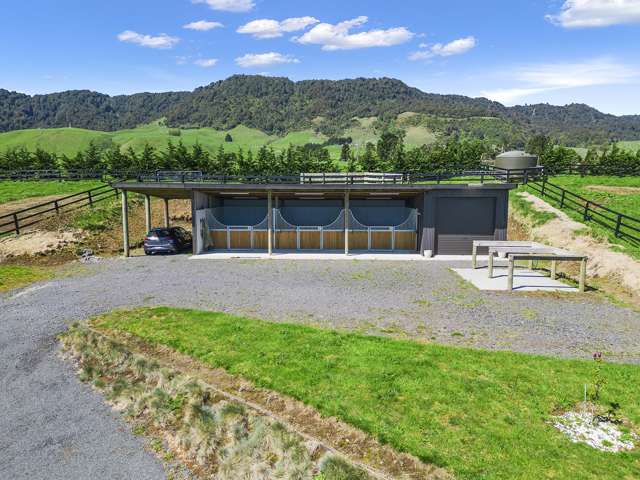 166b Te Tuhi Road Matamata_2