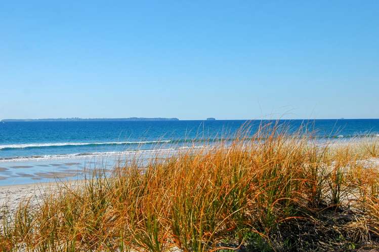 79 Domain Road Papamoa_14