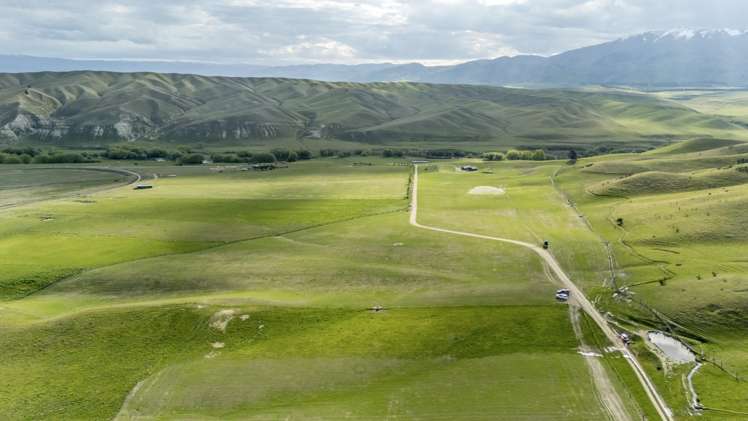 Corrigall Road Chatto Creek_12