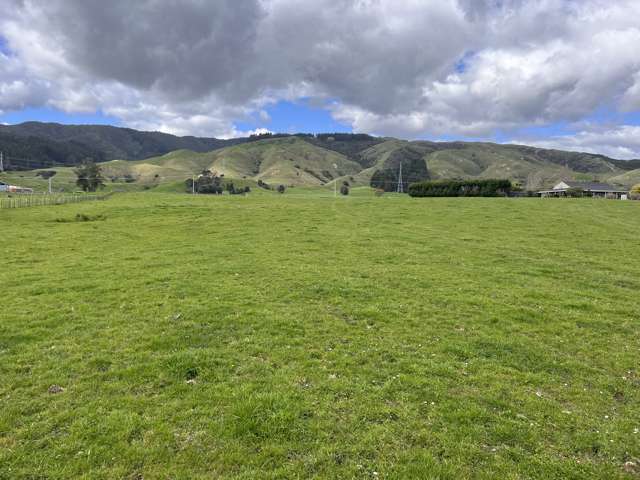 675 Waitohu Valley Road Otaki_2