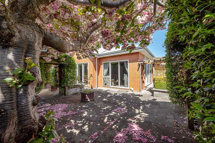 11 Roussel Place Springlands_19