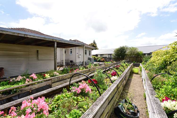 58 Boundary Road Claudelands_10