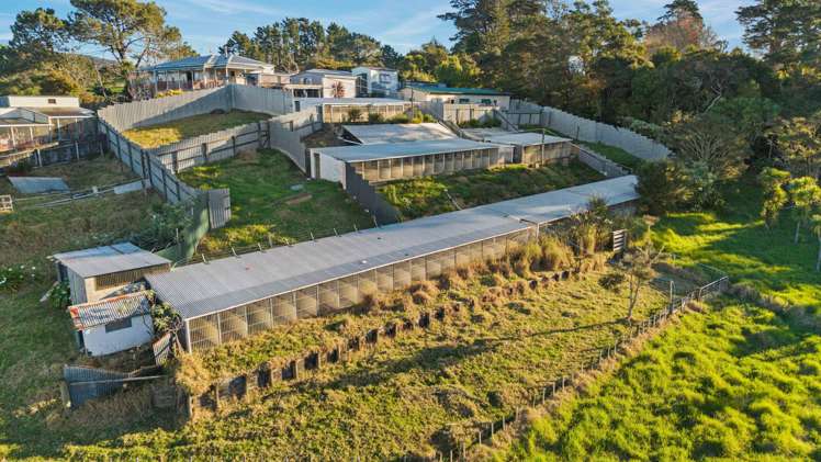 23 Waitakere Road Waitakere_39