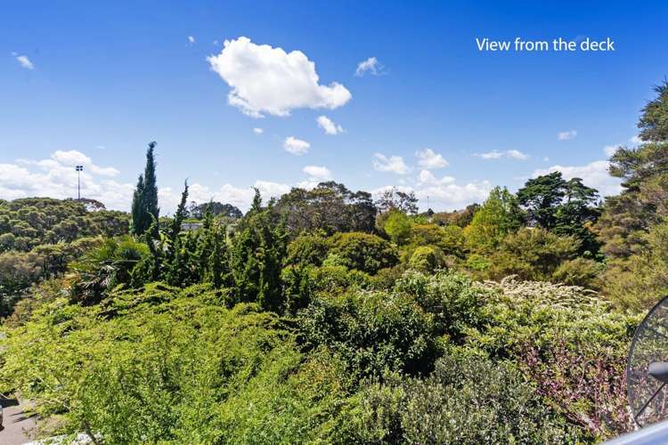 14f Cradock Street Avondale_20