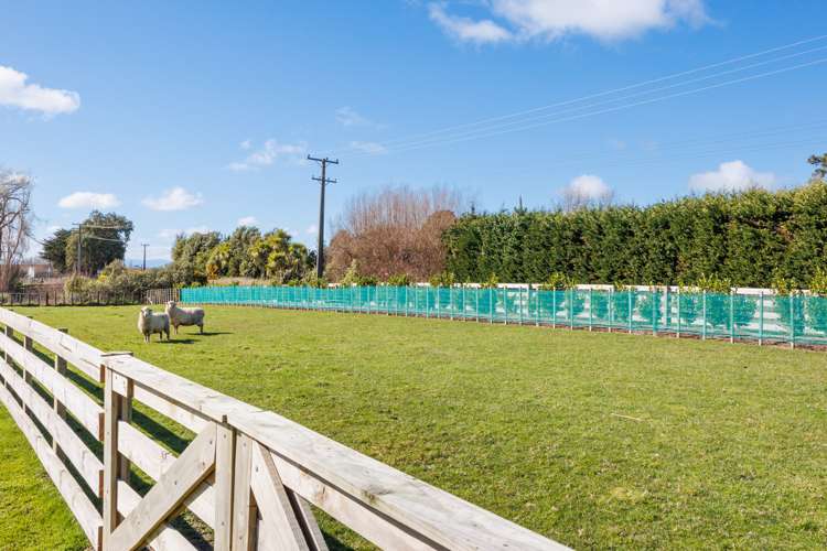 140 Mount Biggs Road Halcombe_22