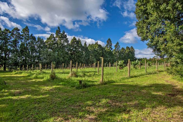 1272 Pipiwai Road Ruatangata_25