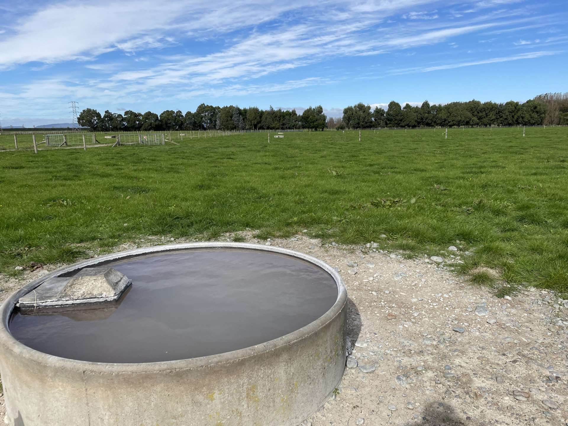 1228 Camerons Line Feilding_0