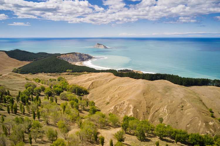 399 Te Apiti Road Waimarama_14