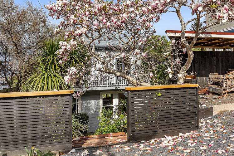 67 Elm Row Dunedin Central_18