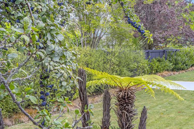 12 Scotston Avenue Saint Albans_18