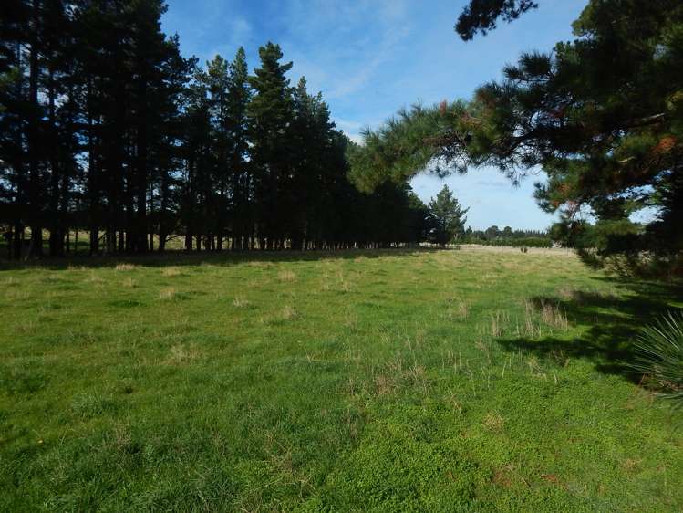 759 Chester Road Carterton_5