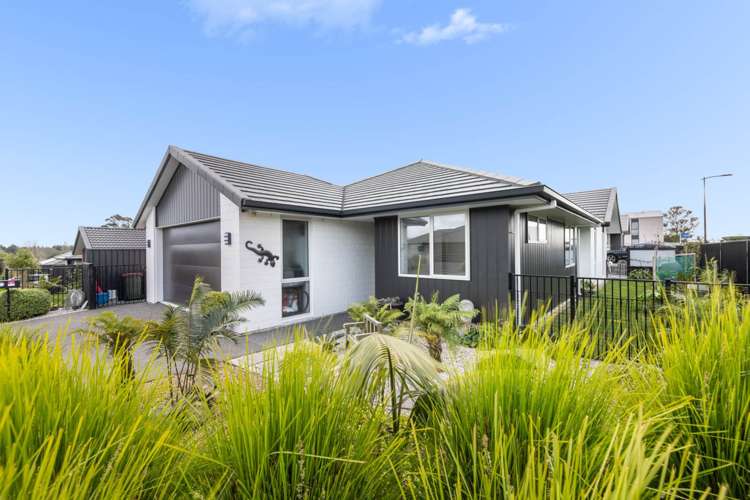 110 Sentinel Avenue Omokoroa_0