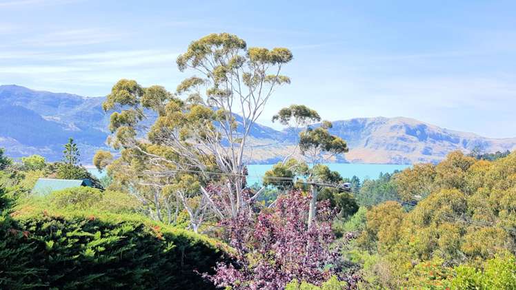 40 Marine Drive Diamond Harbour_10