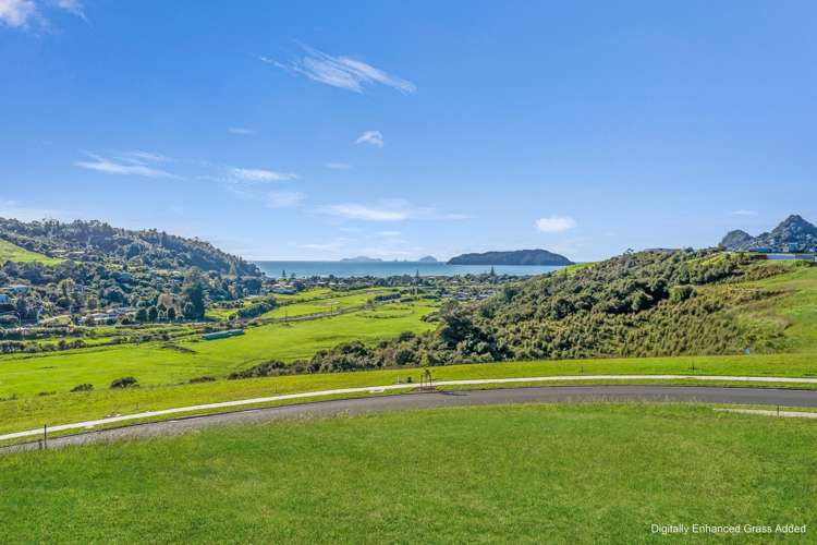 1 Waitoko Way Tairua_3