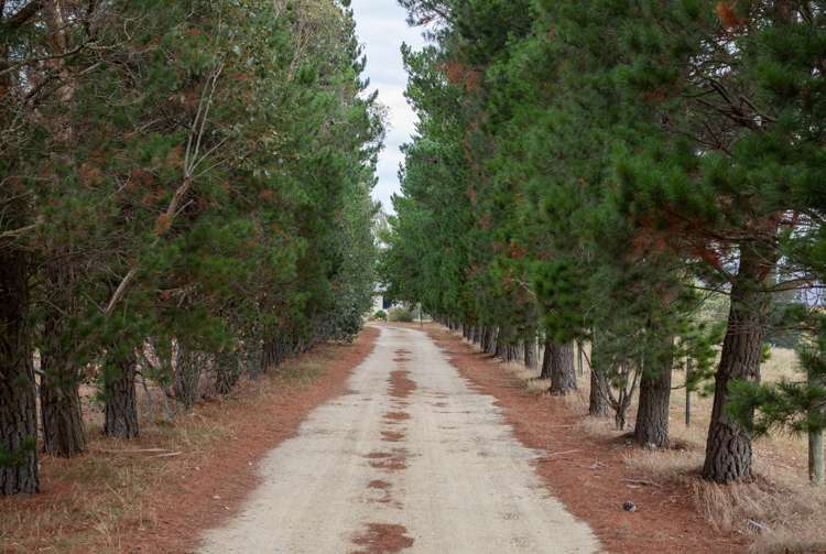 344 Clyde-Alexandra Road Alexandra_22